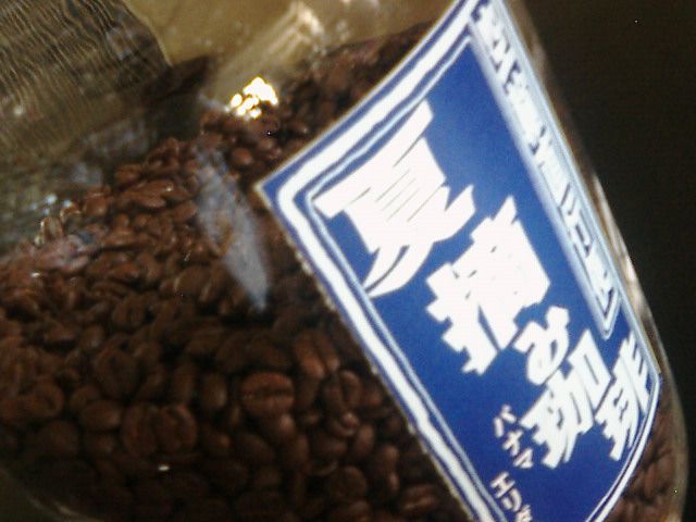 夏摘み珈琲入荷！