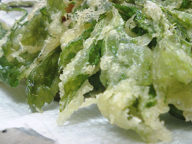 うこぎ菜の天ぷら。