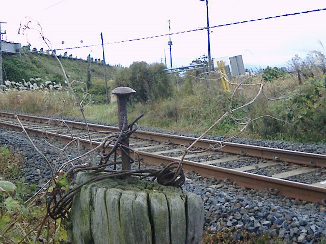 ここはどこ？