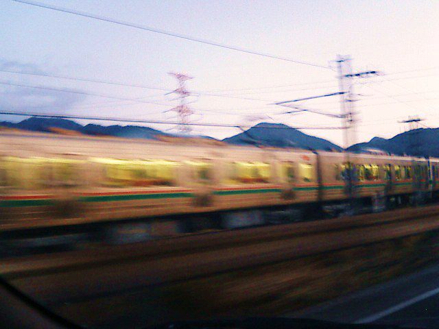 「とりはモモだと思う。」
