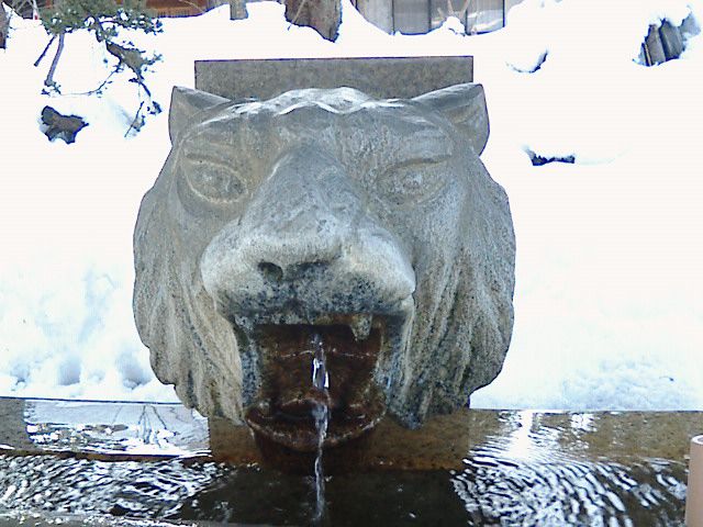 忠太の影