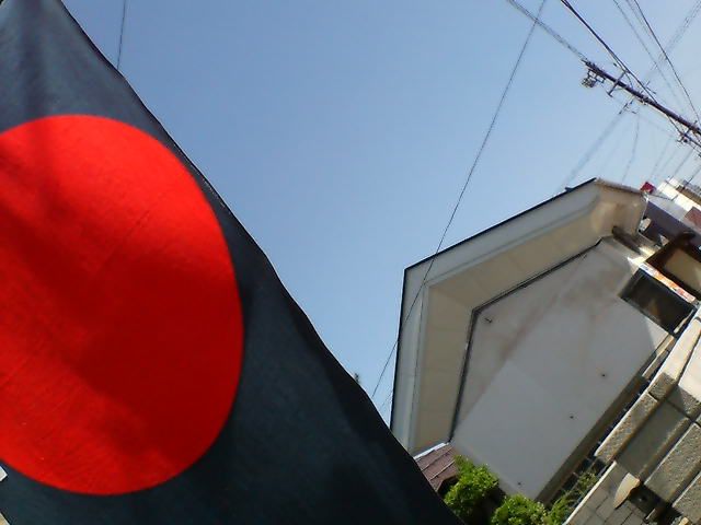 ピーコックと言えば、、、