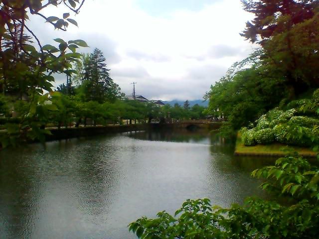 写真映りはいいんです。