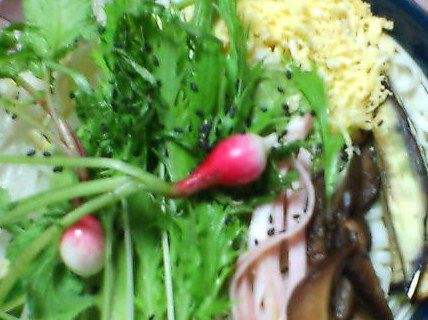 冷たい麺類を食らふ。