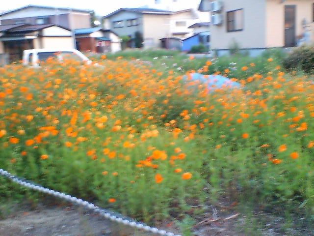 スクーターで赤坂見附の坂を飛ばしていた。