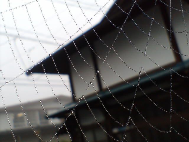 巨星落つ。