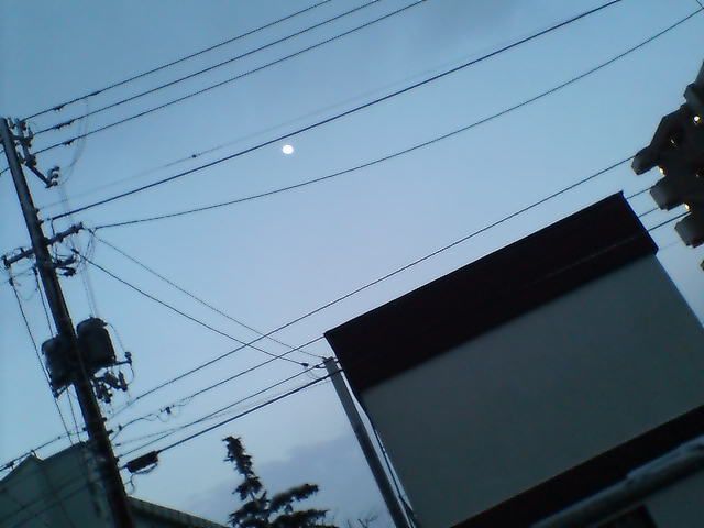 今日の営業は