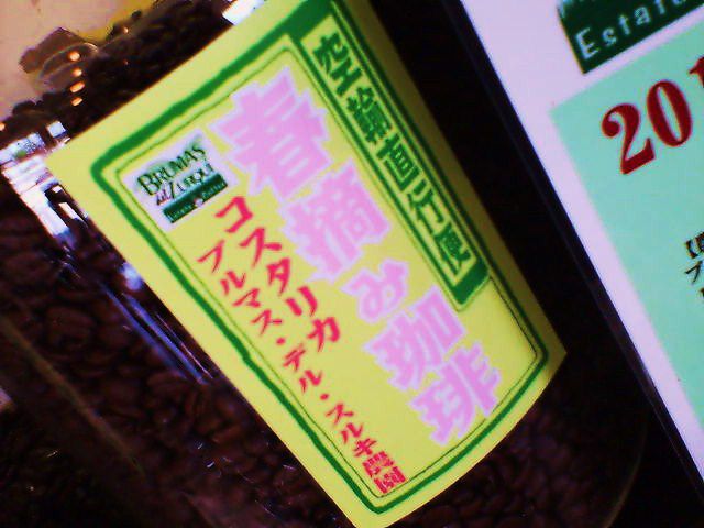 春摘み珈琲は