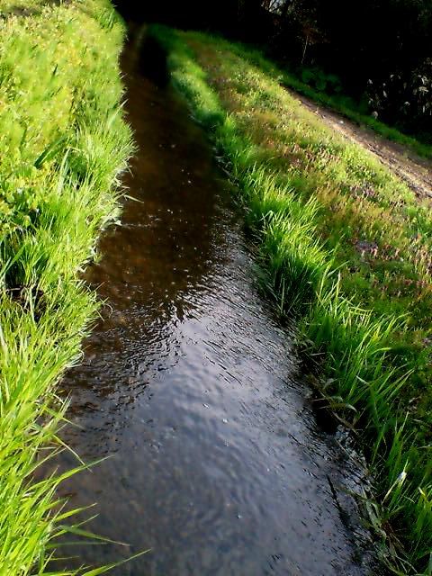 八木橋を行く。