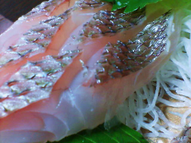 松川考
