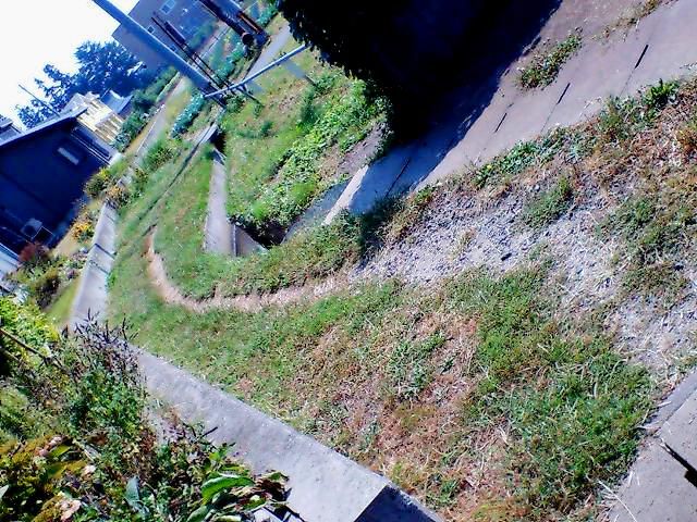 ムサシの野辺に、