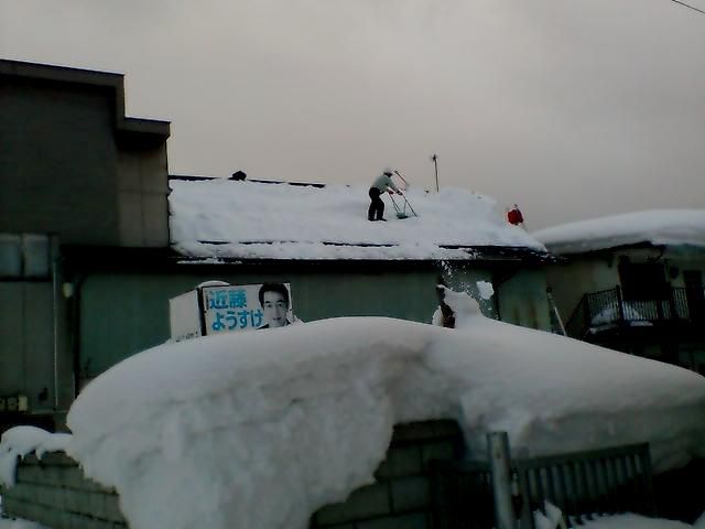 今日は例の雪を、、、