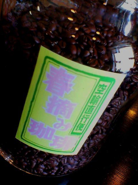春摘み珈琲の入荷。