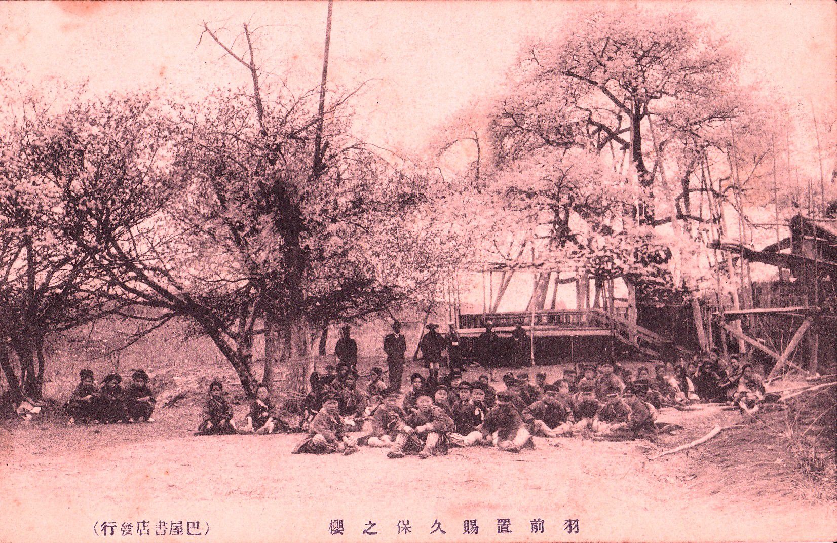 久保の桜を見に来た小学生。