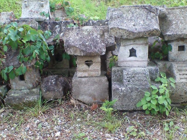 この間行った地蔵院の境内に、