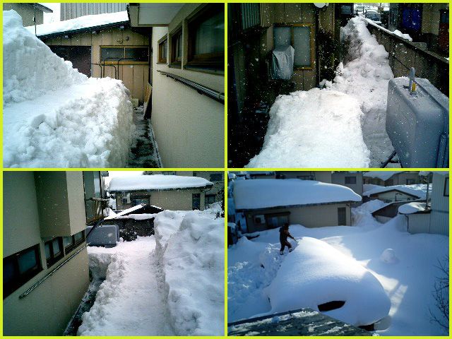 ◆雪との共生◆灯油タンクへの道 