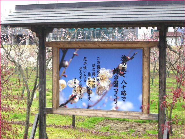 ◆梅の園◆