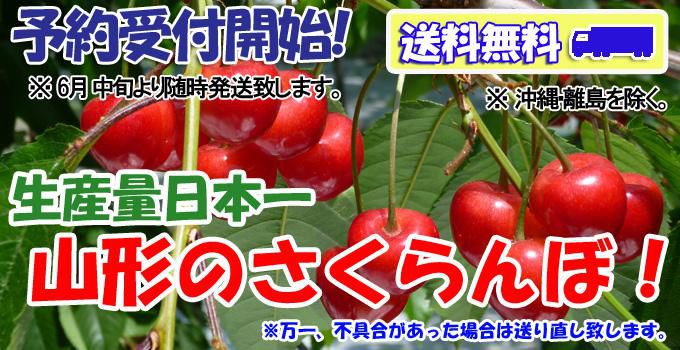 全品送料無料！『山形くだもの倉庫』　さくらんぼ予約注文開始しました。