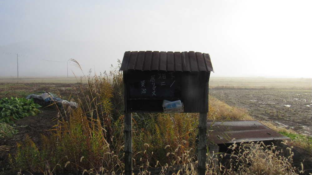 下ノ畑二居リマス