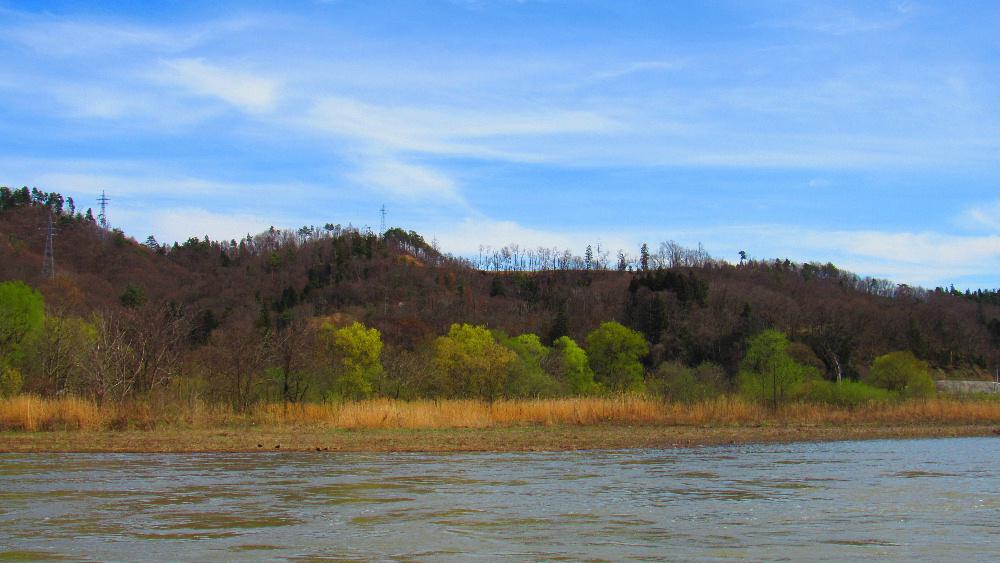 水ぬるむ春です 最上川沿いには黄緑色の葉が川面に映えています 支流の川の向こうには飯豊山でしょうか残雪が見えまさに春本番を感じさせる風景が広がっています 草花や生き物が躍動する春です