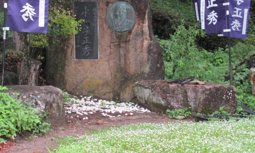 烏帽子山八幡宮の参集殿前の庭にある水心子正秀の顕彰碑前に　白い小さな花が一面に咲いていました　繁殖力の旺盛な「ヒメイワダレソウ」がグランドカバーとして取り入れて植えたのでしょうか　このヒメイワダレソウは横に広がるだけでなく塀や壁などを伝って縦に広がっていく場合もあるそうです　玄関前をきれいにしたくてヒメイワダレソウを植えたのですが足を踏み入れないところなので暴れ放題となったとのレポートもありました　この花はヒメイワダレソウでしょうか