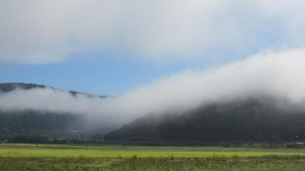 朝から雨が降っています 昨日は晴天で早朝十分一山に雲海を撮りに出かけました 多くの車と人が山頂におり、下は深い霧でしたが真っ青に晴れた空と下界に広がる雲海に今年も秋が来たなあと写真をとりました 前日に晴れていたのでもしかするとと出かけました まったくの別世界で一度はみてもいいのかなあ 下に降りると黄金色の田んぼが広がっています 秋がきたことを実感しています
