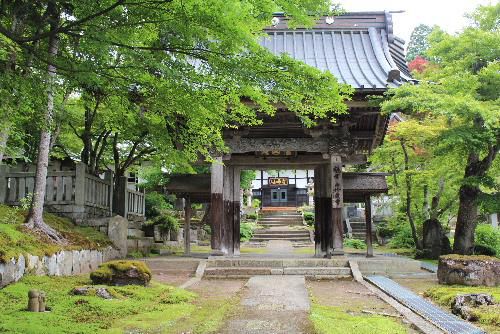 鶴の恩返しでよく知れた珍蔵寺に咲いていました　なんという花でしょうか