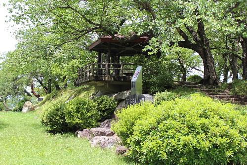 夏の匂いがした　烏帽子山公園に夏が来た