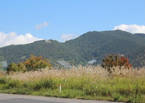 秋の雲　赤とんぼが行き交い　秋の日差しにゆれるススキの穂