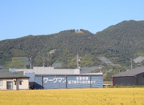 秋空の真っ青な空にパラグライダー、その下には黄金色の稲穂が鮮やかに輝く