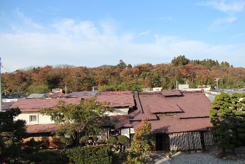 南陽市の宝　烏帽子山公園が紅葉し始めました