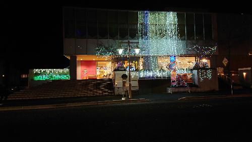 夜に咲く花　１２月の夜を彩るイルミネーション　南陽市エクボプラザ
