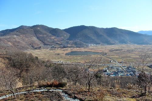 ウソのような暖かさ　今日は１月１１日　雪も全くなく秋葉山頂側の私設の庭の芝桜が咲いています