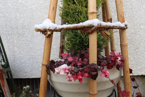 うっすらと雪 昼前までには解けそう