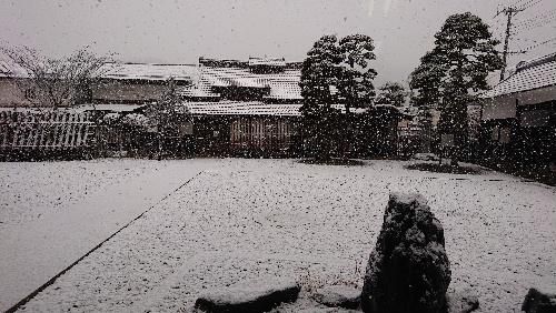 いよいよ根雪かなあ　大きな雪が降ってきました　
