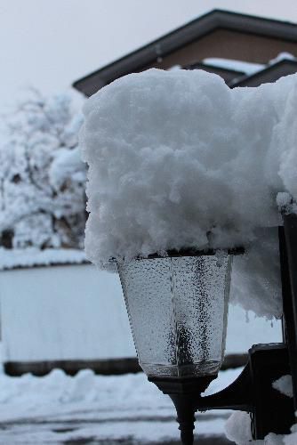 積雪20センチ　除雪車初出動　除雪におおわらわ