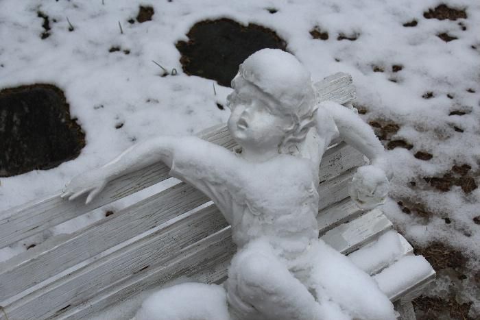 昨日は日向ぼっこをしてたのに　今朝から雪が降っています