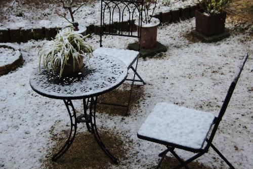 今日は朝から雪が降っています　寒い一日でした