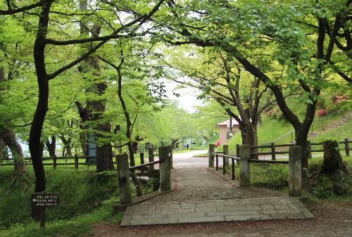癒しの新緑　烏帽子山公園を歩いてみませんか