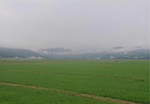 「 ♪ うさぎ追いしかのやま　こぶなつりしかの川・・・」雨にけむる周りの山々、川の風景は文部省唱歌「ふるさと」を思い出させてくれるような朝のひと時でした