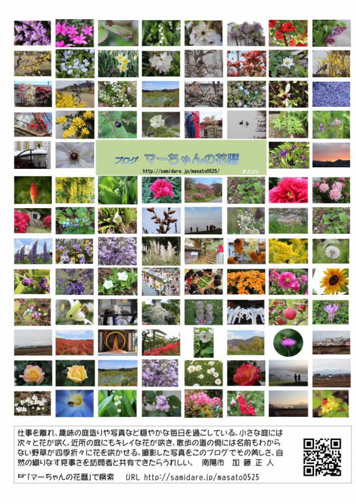 アクセス数５万件突破を記念して「マーちゃんの花暦」のポストカードを作ってみました　多くの来訪者をお待ちしております