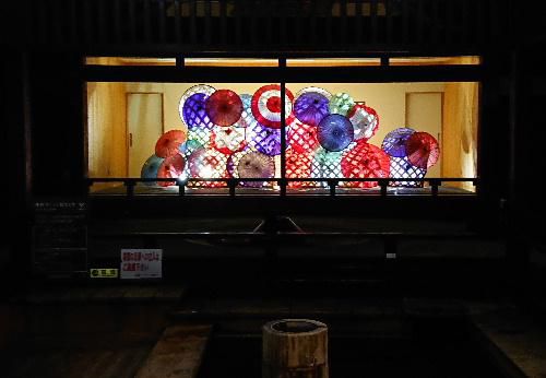 とある温泉地　夕食前のひと時街を散策していると夜の街に咲いている花を見つけました