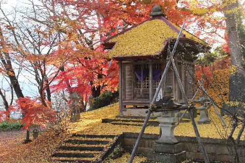 金色堂？　東東寺の観音堂のイチョウが真っ黄色に色づき冷たい西からの風にパラパラと落ちてきました　イチョウがお堂の屋根や地面を多い、まさに黄金色と真っ赤な紅葉が一面に覆っています