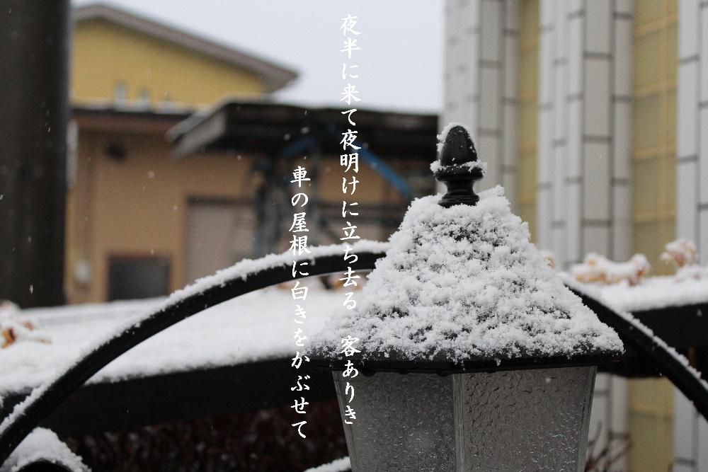 今年初めて積雪を記録しました　同級生の句集に「夜半に来て夜明けに立ち去る　客ありき　車の屋根に白きをかぶせて」と詠んでいるのを見つけました　まさにそんな情景が浮かぶ風景です　今日から大雪になりそうとの予報です
