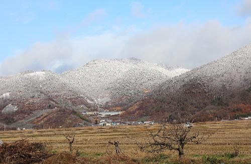 これが秋と冬の境界かな　昨日の午後　青空のもとに雪にかすむ山頂付近と枯葉に覆われた田園と秋と冬の境界を見ました　今日は雪がふんわりと周りの風景を包んでくれています　これからどっと降るのでしょうか