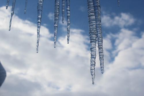 師走も半ばですが50センチを超える大雪で外に出ると除雪車のエンジン音があちこちから聞こえてきます　「花暦」ではなく「雪暦」になってしまいましたがいつまで続くのでしょうかこの雪は