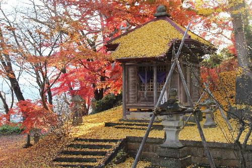 ２０２０年も今日が最後の日です　様々な出来事があった１年ですがなんといっても新型コロナの流行でしょうか　「マーちゃんの花暦２０２０ベスト１」はイチョウの葉が屋根や地面に降り積もり　黄金色に染まった千体地蔵堂（１１月１９日　１１月２２日）と奥に安置されている千体もの小さな地蔵さんです　千体ものお地蔵さんは驚きの発見でした　コロナ退散を祈りました