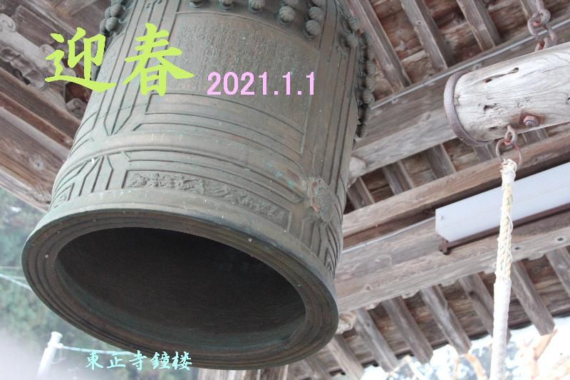 明けましておめでとうございます　２０２１年こそはコロナが収束して何気ない当たり前の生活が送れる日が早くくることを祈っています　今年も「マーちゃんの花暦」と仲良くお付き合いください