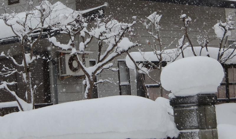 今朝はこの冬一番で30センチは超える積雪となりました　昨日の朝は気温も下がり木々には霧氷がついていて花がさいているように朝日に照らされて輝いていました　まさに方言でカンジルという言葉で表現される寒さでした　今朝の気温が氷点下6度でこれまでは雪の少ない冬ですが冬の最も寒くて雪の多い時期がこれからです　今も雪が降っていますどのくらい積もるのでしょうか
