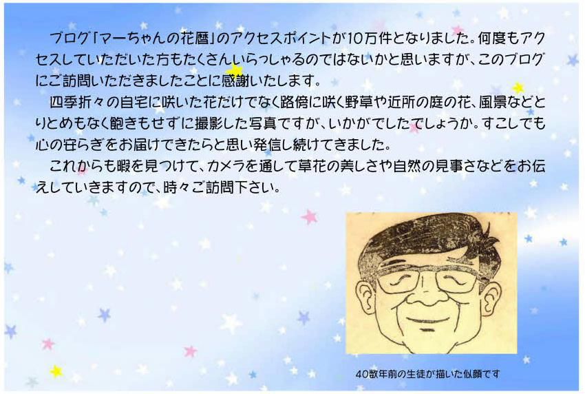 「マーちゃんの花暦」のアクセスポイントが１０万件を突破しました。パチパチパチ　この歳になってもわずかでも南陽市の魅力の発信に役立っているのかなあとうれしくなりました　これからも南陽市の魅力をレンズを通して草花や風景を追い求めていきたいと思います